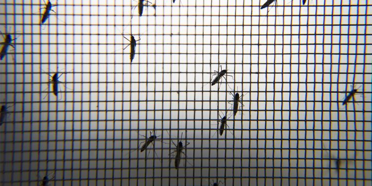 Çin'de halk sağlığı acil durumu ilan edildi