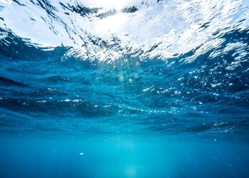 Dünya Meteoroloji Örgütü: Dünyanın su kaynakları giderek artan bir baskı altında