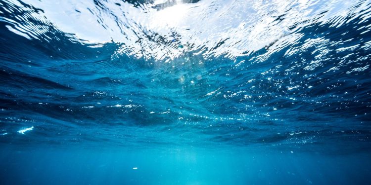 Dünya Meteoroloji Örgütü: Dünyanın su kaynakları giderek artan bir baskı altında