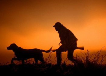 Ava kapalı mevsimde evinde av hayvanı bulundurdu, 4 asgari ücret ceza kesildi