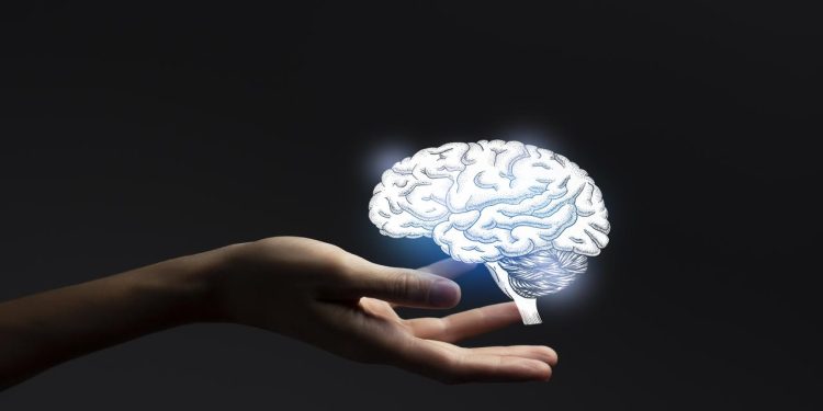 Beynimiz hangi yaşta zirveye ulaşıyor? Bilim insanları açıkladı