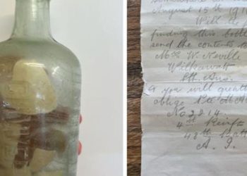 Birinci Dünya Savaşı askerlerinin şişedeki mektupları 100 yıl sonra Avustralya kıyısında bulundu