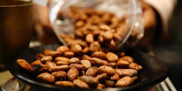 Bir fincan kakaonun erkekler için şaşırtıcı sağlık faydası