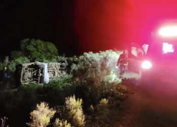 Arı kovanlarına çarptı, yardıma gelen babası da hayatını kaybetti