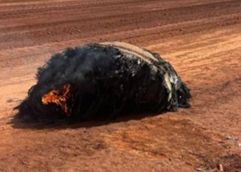 Avustralya çölünde bulunan yanmış cisim uzaydan düşmüş olabilir