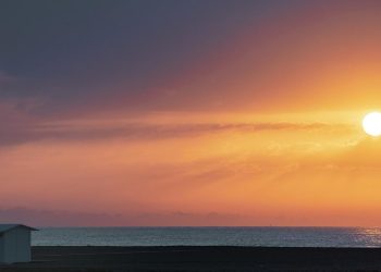 Dünya Meteoroloji Örgütü: Atmosferdeki karbondioksit oranı 2024'te rekor seviyelere ulaştı