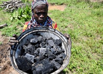 Küresel kömür kullanımı 2024te rekor kırdı