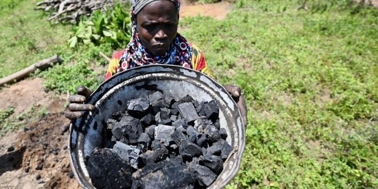 Küresel kömür kullanımı 2024te rekor kırdı