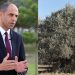 Özersay: Taş ocaklarının yarattığı yoğun toz köylüleri mağdur ediyor