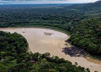 Amazon alarmda: Soya yasağının kaldırılması felaket getirebilir