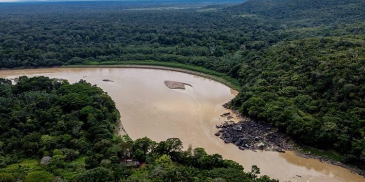 Amazon alarmda: Soya yasağının kaldırılması felaket getirebilir