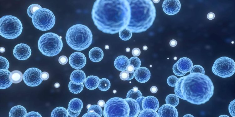 ABD'de listeria bakterisi salgını: 6 kişi öldü, 25 kişi hastaneye kaldırıldı