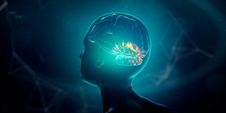 Araştırma: İnsan beyni 5 evreden geçiyor, 32 yaşına kadar ergenlik dönemini yaşıyor