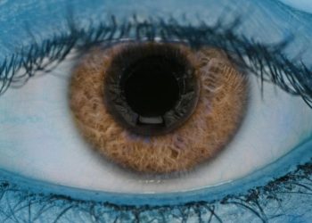 Kök hücre nakli temelli yeni tedavi, görme kaybını tersine çevirdi