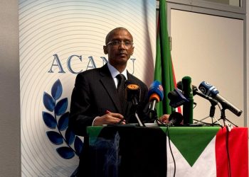 Sudanlı Büyükelçi, Hızlı Destek Kuvvetleri'nin Faşir'de soykırım gerçekleştirdiğini söyledi