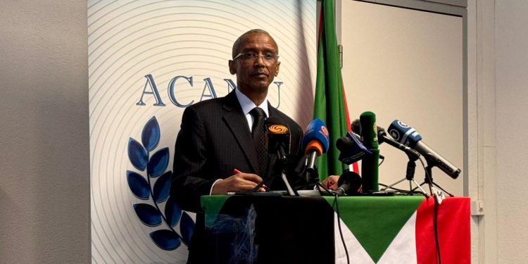 Sudanlı Büyükelçi, Hızlı Destek Kuvvetleri'nin Faşir'de soykırım gerçekleştirdiğini söyledi