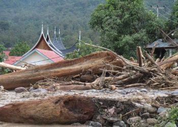Endonezya'da şiddetli yağışların yol açtığı afetlerde ölenlerin sayısı 174'e yükseldi