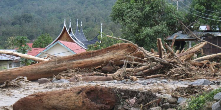 Endonezya'da şiddetli yağışların yol açtığı afetlerde ölenlerin sayısı 174'e yükseldi