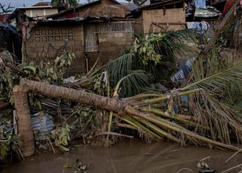 Filipinler'de Kalmaegi Tayfunu'nda hayatını kaybedenlerin sayısı 224'e çıktı