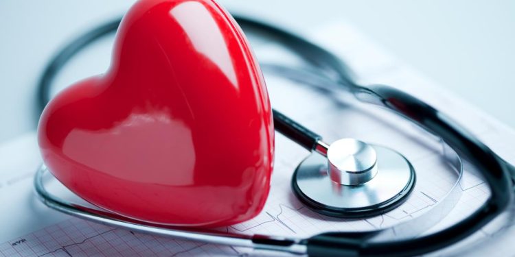 Bilim insanları, organları çatlamadan dondurmayı başardı