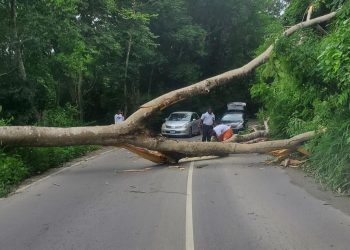 Türkiye'den Karayipler'de Melissa Kasırgası'nda hayatını kaybedenler için taziye mesajı