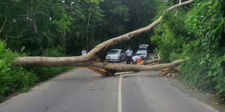 Türkiye'den Karayipler'de Melissa Kasırgası'nda hayatını kaybedenler için taziye mesajı