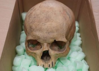 60 yıl önce Viyana Katedralinden kafatası çalan turist, ölmeden önce geri gönderdi