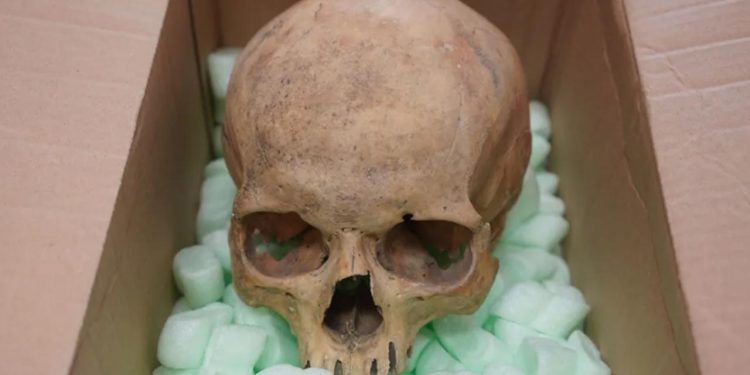 60 yıl önce Viyana Katedralinden kafatası çalan turist, ölmeden önce geri gönderdi