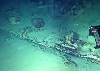 Kolombiya, 300 yıllık gemi enkazından ilk hazineleri çıkardı