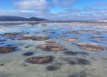 Dünya Bankası: Dünyanın yıllık tatlı su kaybı 280 milyon kişinin ihtiyacını karşılayabilir