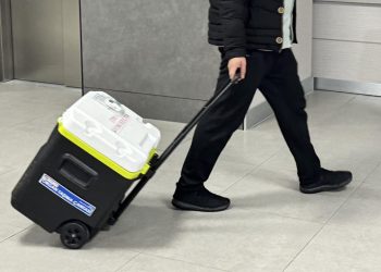 Yeni yapay zeka aracı, organ nakli için harcanan çabayı yüzde 60 oranında azaltabilir