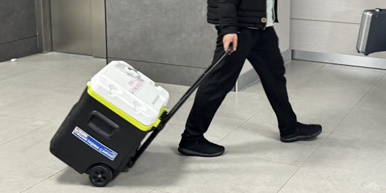 Yeni yapay zeka aracı, organ nakli için harcanan çabayı yüzde 60 oranında azaltabilir