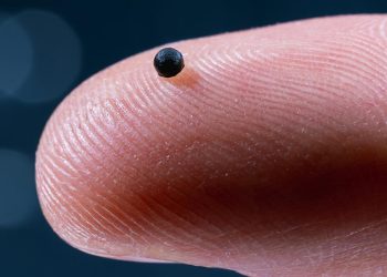 Uzmanlar, damarlarda ilerleyerek belirli dokulara ilaç ulaştırabilen mikro robotları test etti