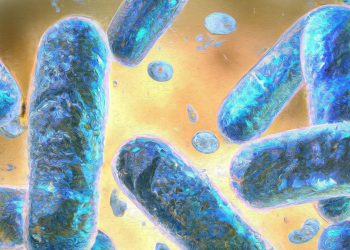 Bilim insanları yaşlanmayı yavaşlatan özel bağışıklık hücresi keşfetti