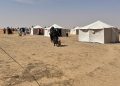 Sudan'ın Faşir şehrinden yerinden edilenlerin sayısı 106 bini aştı