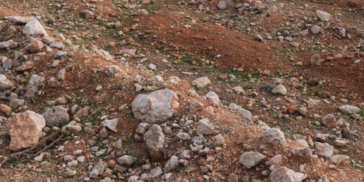 Suriye'nin Humus ilinde dört toplu mezar bulundu