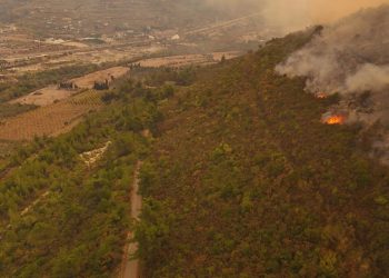 Suriye'nin Lazkiye kırsalındaki orman yangınına müdahale ediliyor
