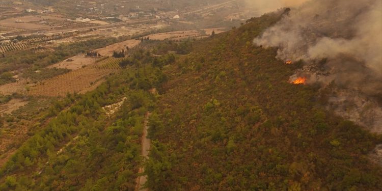 Suriye'nin Lazkiye kırsalındaki orman yangınına müdahale ediliyor
