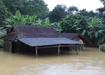 Vietnam'ı sel ve heyelan vurdu: 28 ölü