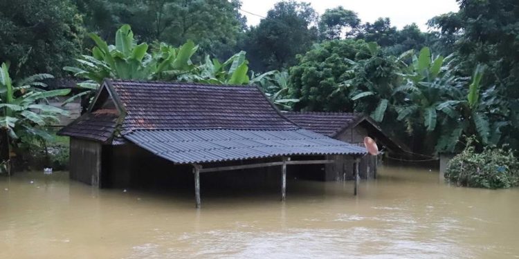 Vietnam'ı sel ve heyelan vurdu: 28 ölü
