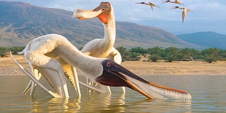 110 milyon yıllık yeni uçan sürüngen türü keşfedildi