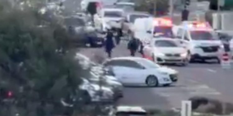 Avustralya'da silahlı saldırı: Yaralılar var