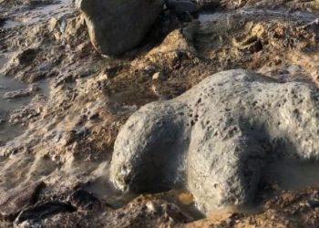 Dünya genelinde 2025'teki arkeolojik bulgular, insanlık tarihine ve mirasına ışık tuttu