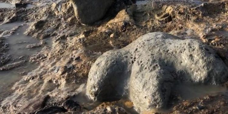 Dünya genelinde 2025'teki arkeolojik bulgular, insanlık tarihine ve mirasına ışık tuttu