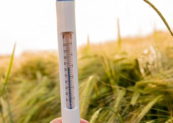 2025'te küresel sıcaklıklar rekor seviyelere ulaştı