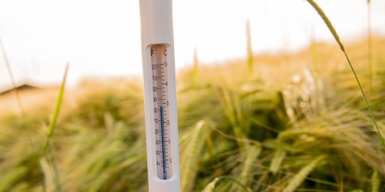 2025'te küresel sıcaklıklar rekor seviyelere ulaştı