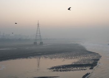 Hindistan'da hava kirliliğinin yol açtığı sis, uçuşlarda aksaklıklara neden oldu