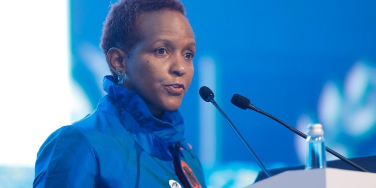 BM Genel Sekreter Yardımcısı Msuya'dan Türkiye'ye teşekkür