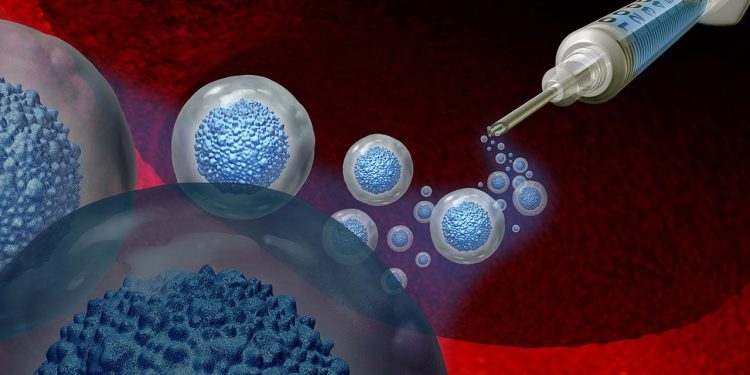 Bilimsel araştırma: Yaşlanan hücreler yeniden gençleştirilebilir