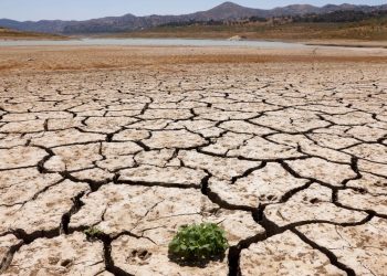 İklimde kritik dönemeç: 20232025 dönemi 1,5 derece eşiğini aşacak